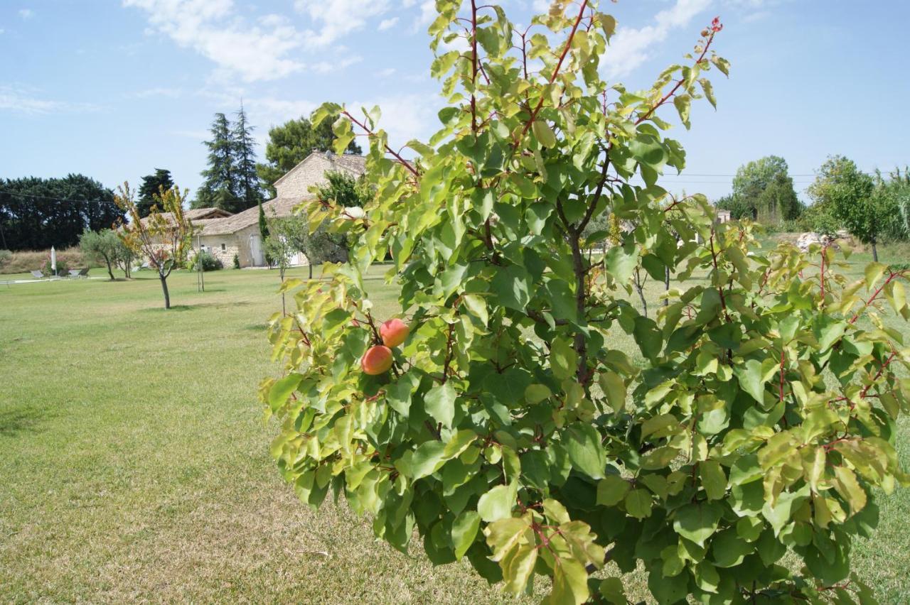 B&B Dans Mas En Pierres Robion en Luberon Εξωτερικό φωτογραφία