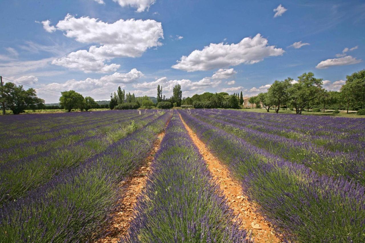 B&B Dans Mas En Pierres Robion en Luberon Εξωτερικό φωτογραφία